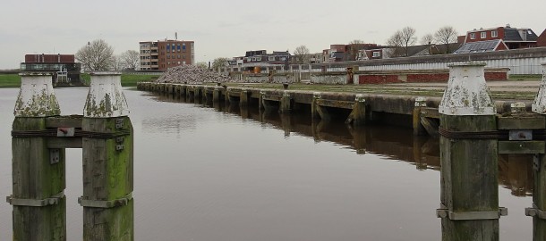 IMG_1632a.JPG