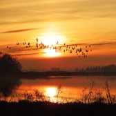IMG_9385.JPG