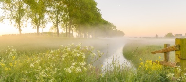Weiland met veel groen.jpg